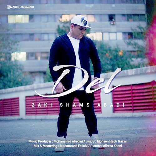 زکی شمس آبادی دل